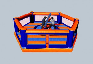 Inflatable Joust Rental in Illinois