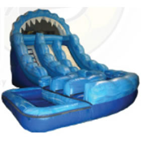 Rent Double Lane Water Slide with Pool | Illinois